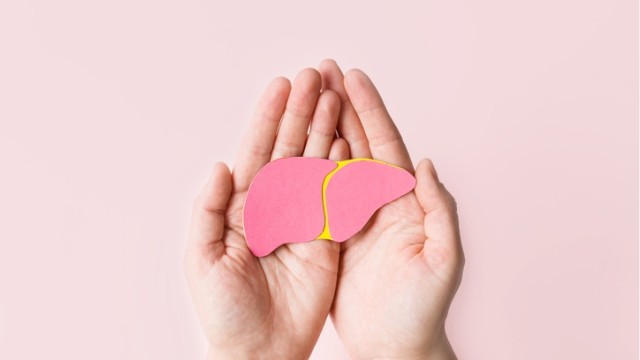 Two hands holding a flat diagram of a liver