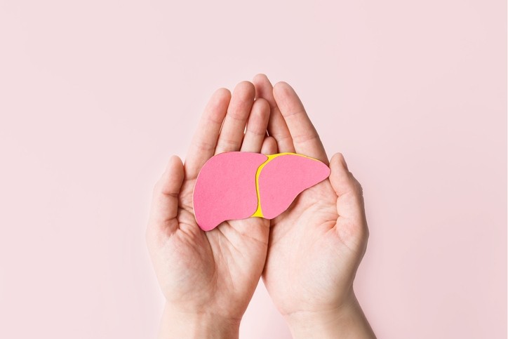 Two hands holding a flat diagram of a liver