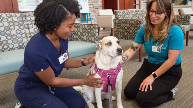 Two women kneeling beside a dog that is wearing a pink vest