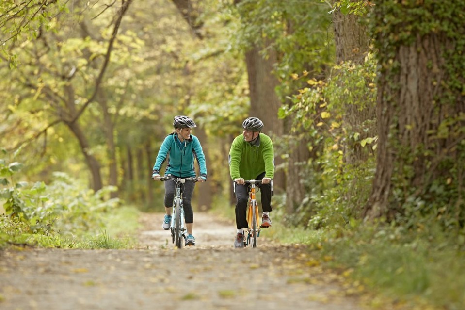Two people riding bikes on a trail in the forest