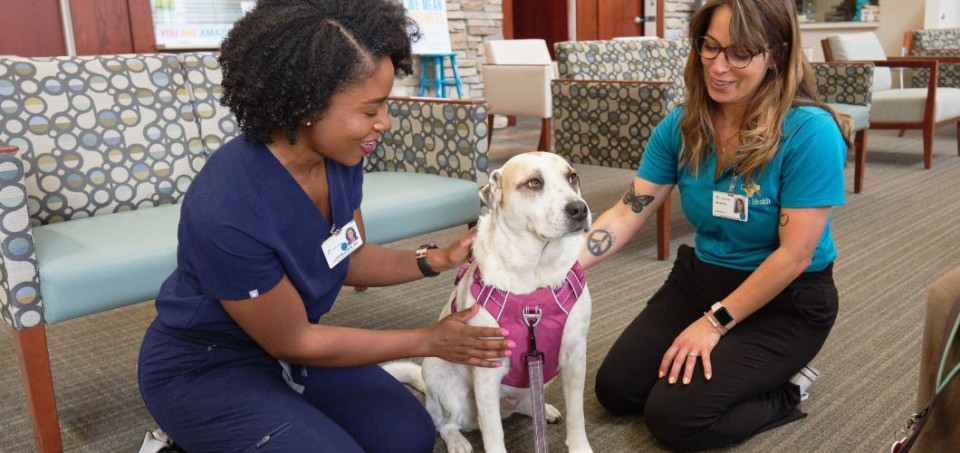 Two women kneeling beside a dog that is wearing a pink vest
