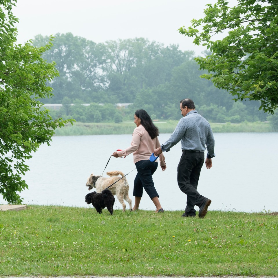 Couple walking at a park with dogs