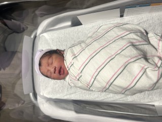 Swaddled newborn baby in hospital crib