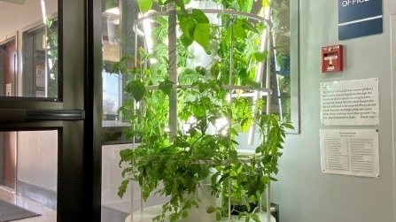 Tall vegetable tower garden sitting in the corner