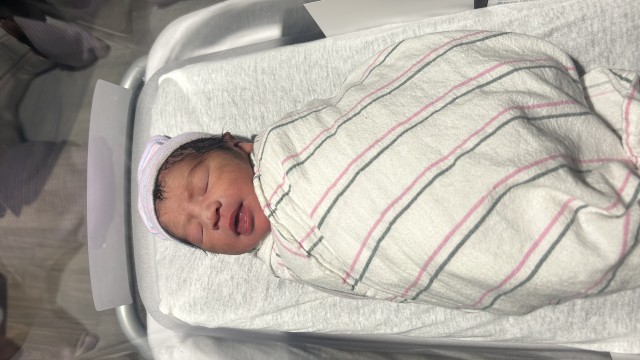 Swaddled newborn baby in hospital crib