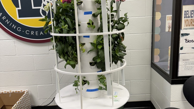 Tower garden in a school room
