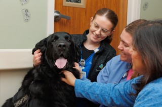 Ladies petting a dog