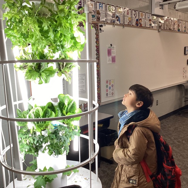 A child gazing up at a tower garden