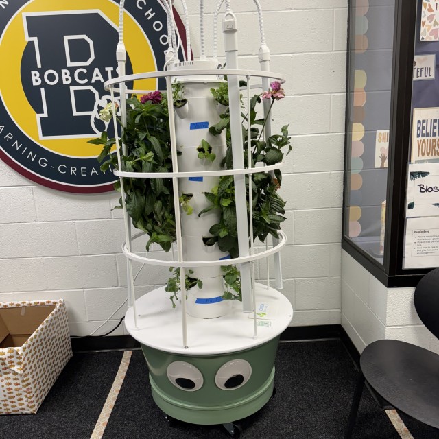 Benton Elementary Zinnia flowers in a tower garden