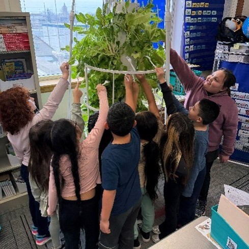 Children at Chamberlain school reaching up to get vegetables on a tower garden