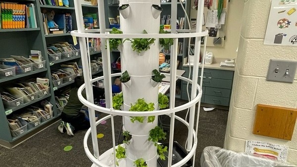 Tall tower garden in a classroom